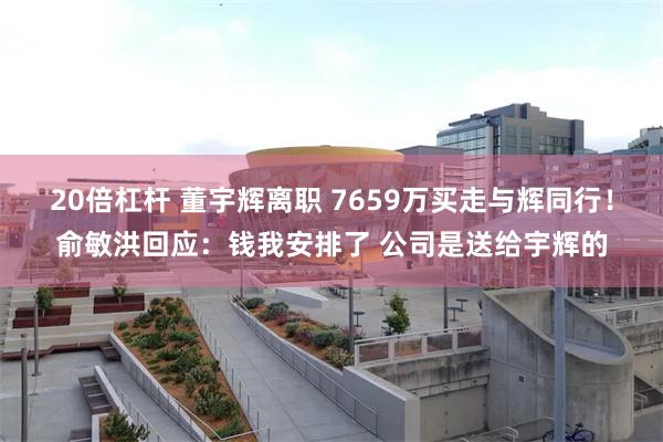 20倍杠杆 董宇辉离职 7659万买走与辉同行！俞敏洪回应：钱我安排了 公司是送给宇辉的