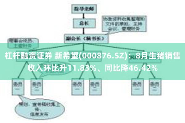 杠杆融资证券 新希望(000876.SZ)：8月生猪销售收入环比升11.83%、同比降46.42%