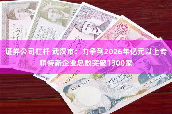 证券公司杠杆 武汉市：力争到2026年亿元以上专精特新企业总数突破1300家