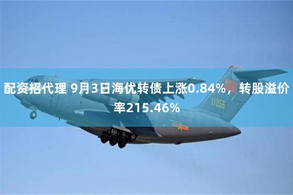 配资招代理 9月3日海优转债上涨0.84%，转股溢价率215.46%