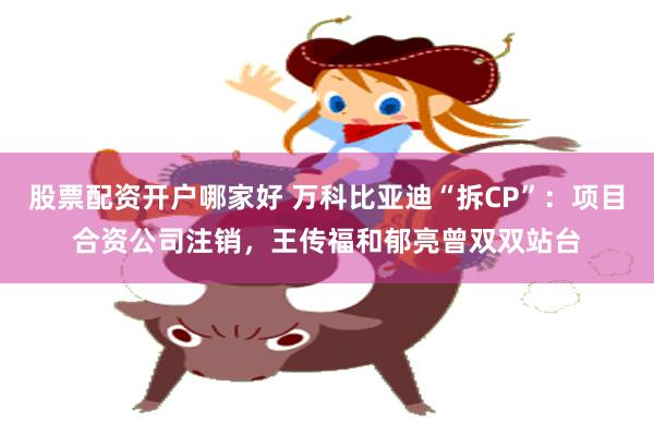 股票配资开户哪家好 万科比亚迪“拆CP”：项目合资公司注销，王传福和郁亮曾双双站台