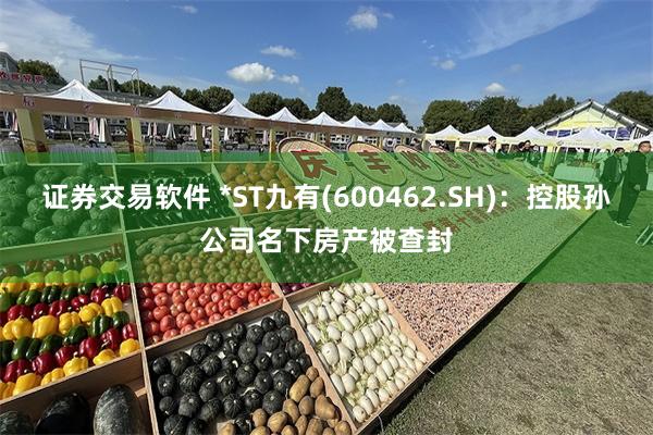 证券交易软件 *ST九有(600462.SH)：控股孙公司名下房产被查封