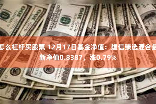 怎么杠杆买股票 12月17日基金净值：建信臻选混合最新净值0.8387，涨0.79%