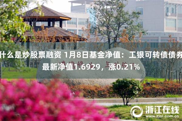 什么是炒股票融资 1月8日基金净值：工银可转债债券最新净值1.6929，涨0.21%