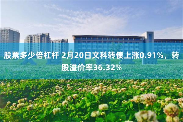 股票多少倍杠杆 2月20日文科转债上涨0.91%，转股溢价率36.32%