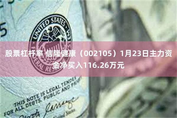 股票杠杆率 信隆健康（002105）1月23日主力资金净买入116.26万元